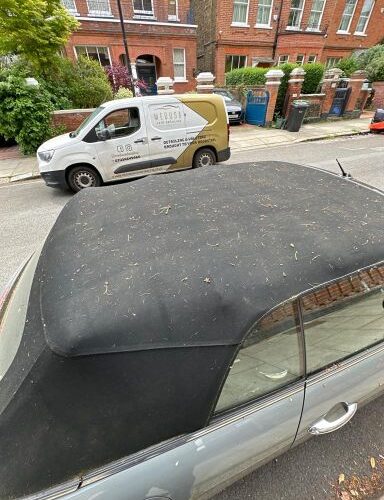 2 a
