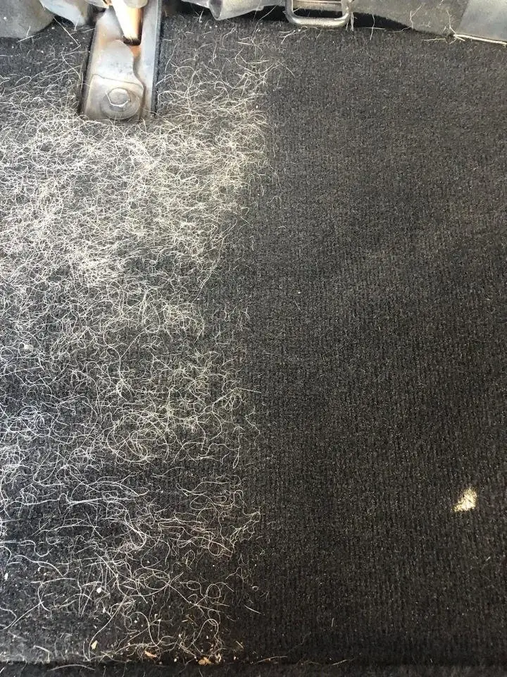 dog hair remover