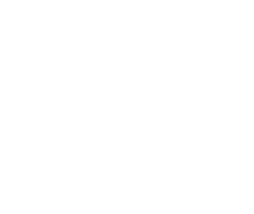 Skip the car-wash